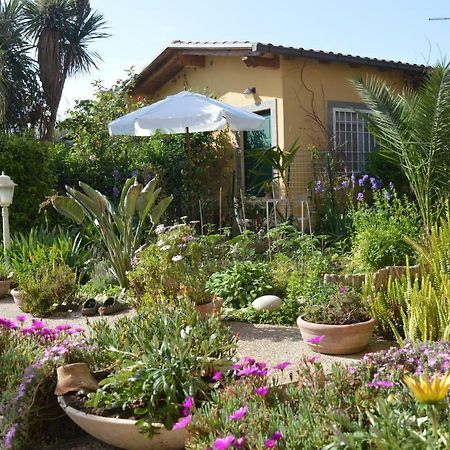 Le Cicale Villa Casal Palocco Luaran gambar