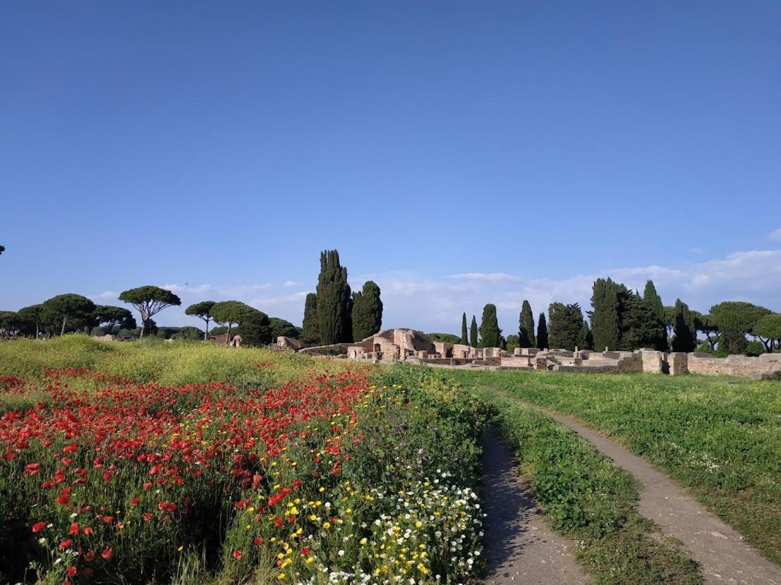 Le Cicale Villa Casal Palocco Luaran gambar
