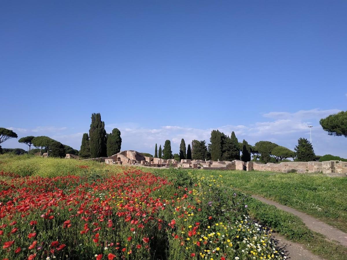 Le Cicale Villa Casal Palocco Luaran gambar