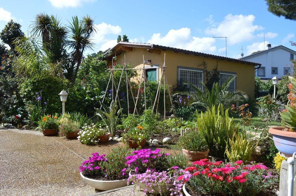 Le Cicale Villa Casal Palocco Luaran gambar