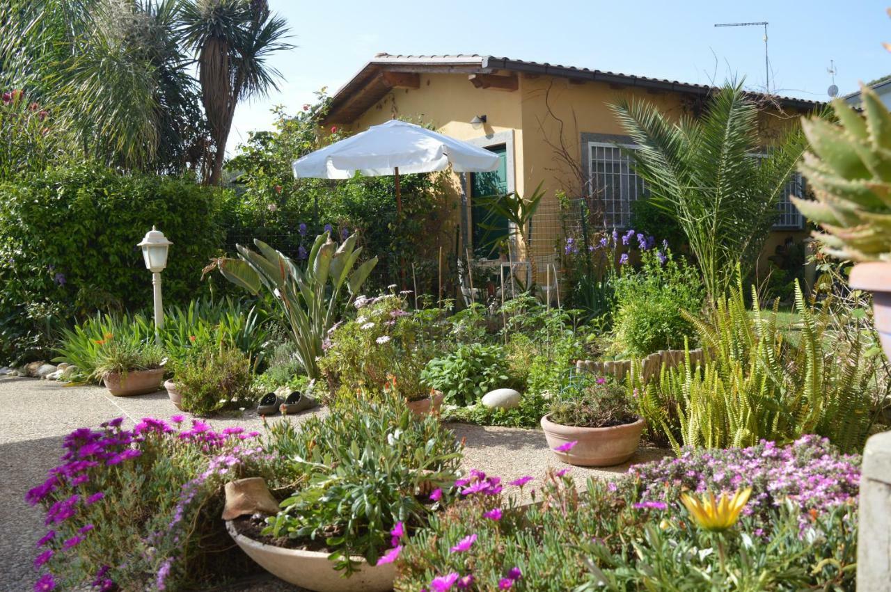 Le Cicale Villa Casal Palocco Luaran gambar
