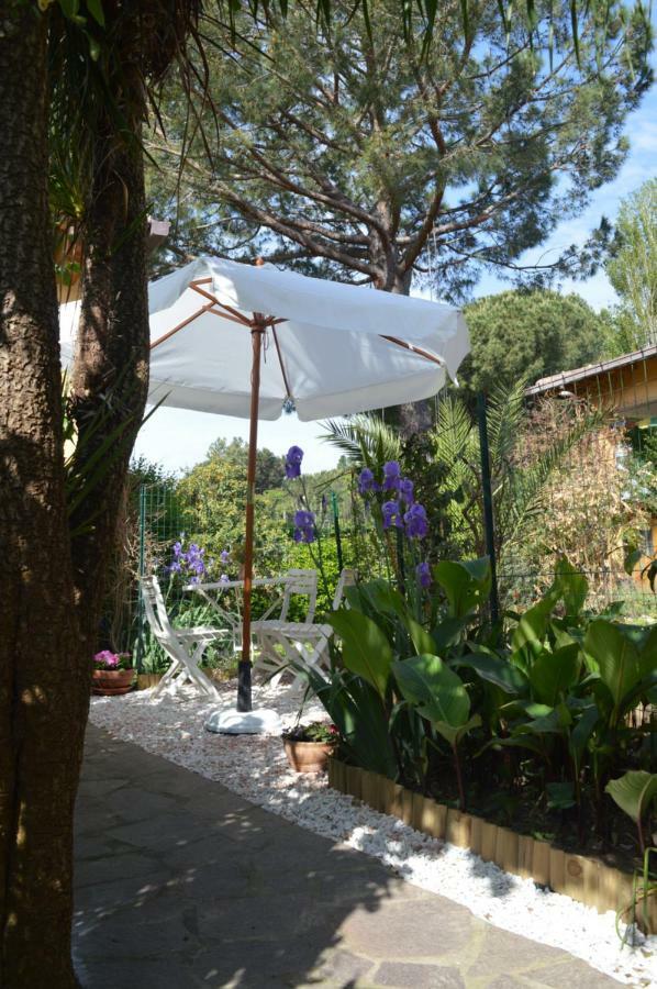 Le Cicale Villa Casal Palocco Luaran gambar