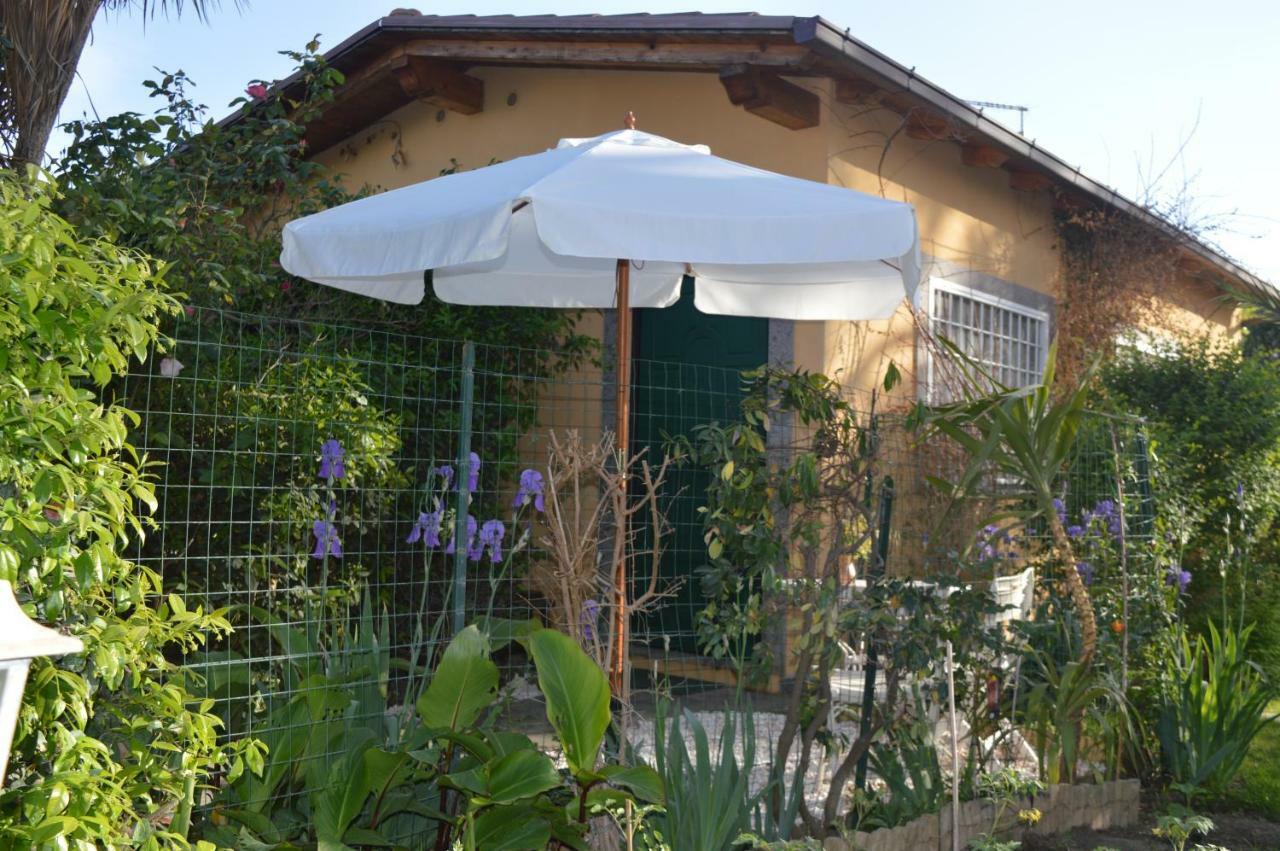 Le Cicale Villa Casal Palocco Luaran gambar
